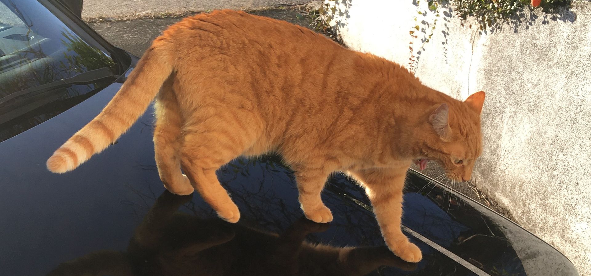 10039